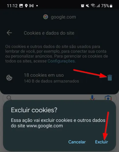 Tela Cookies e dados do site com o ícone de lixeira e a confirmação Excluir