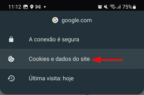 Menu de informações do site no Chrome com a opção Cookies e dados do site
